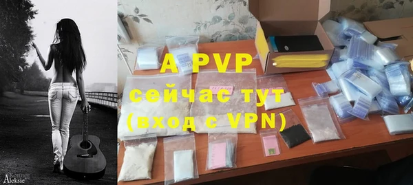гидра Абаза