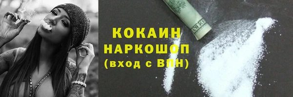 гидра Абаза
