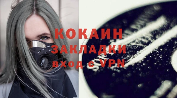 гидра Абаза