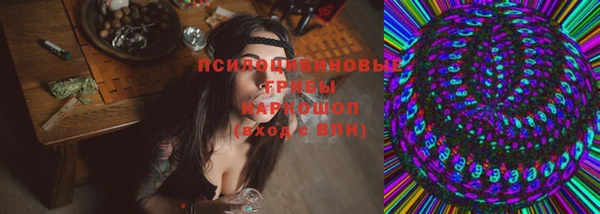 гидра Абаза