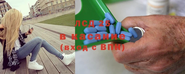 гидра Абаза