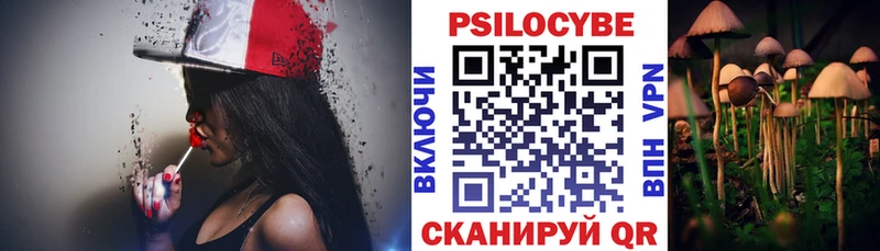 Псилоцибиновые грибы прущие грибы  Поворино 